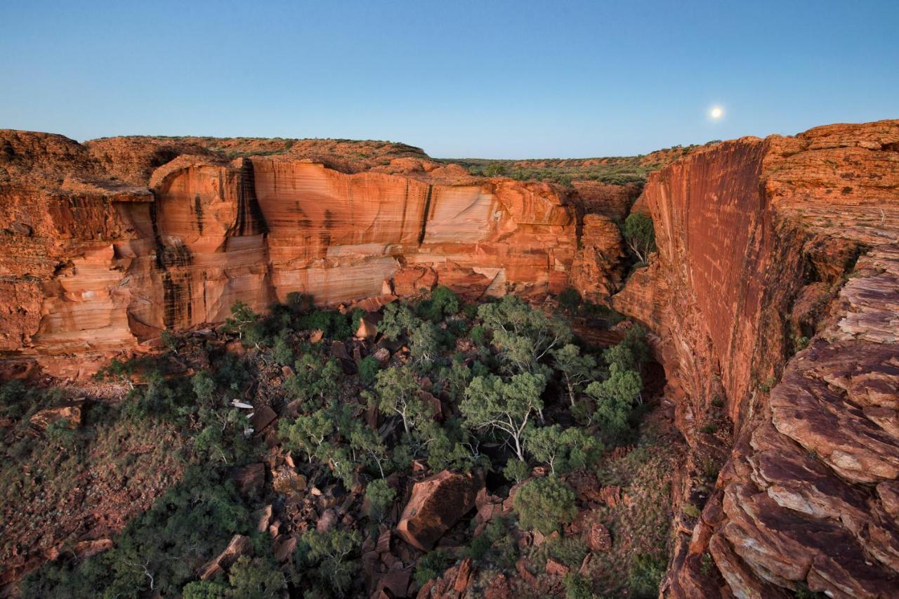 Discovery Resorts - Kings Canyon Eksteriør billede
